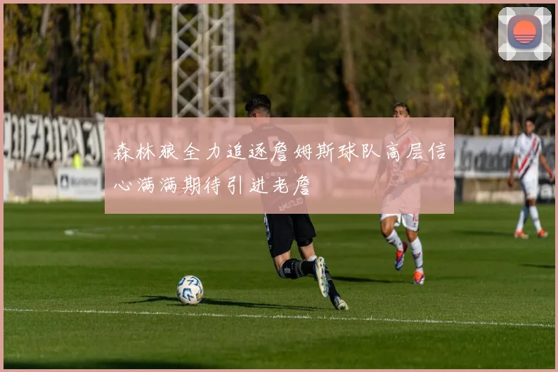 森林狼全力追逐詹姆斯球队高层信心满满期待引进老詹